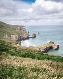 Coast with turquoise ocean waters and sandstone cliffstunnel beach, dunedin, new zealand