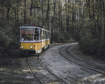 Orange tram travelling trough the woods.