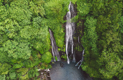 Scenic view of waterfall in forest