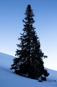 Tree against clear blue sky during winter