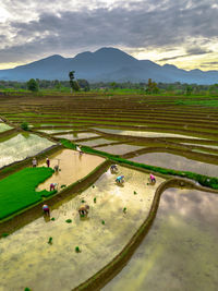 environment