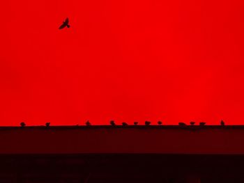 Birds perching on roof against clear red sky during sunset