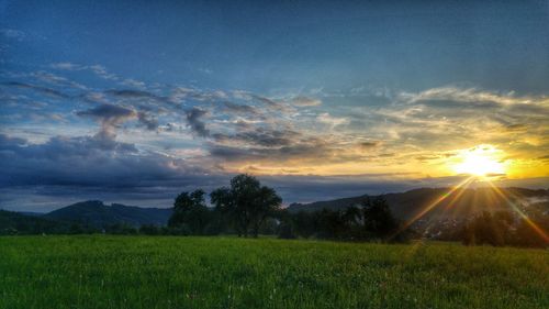 Scenic view of field against sky during sunset