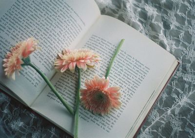High angle view of various flowers on book
