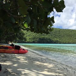 Boat in lake against trees