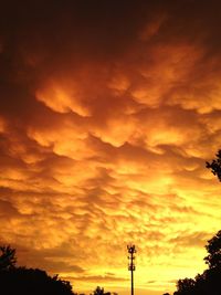 Silhouette of trees against cloudy sky