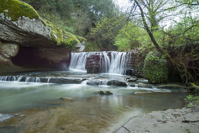 Scenic view of waterfall in forest