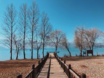 Boardwalk amidst bare trees against clear sky