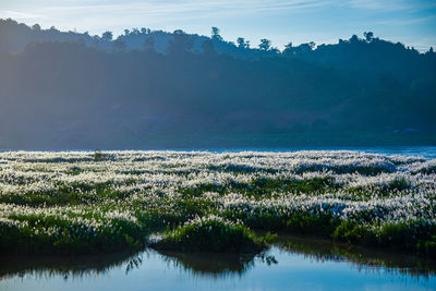 Scenic view of lake against sky