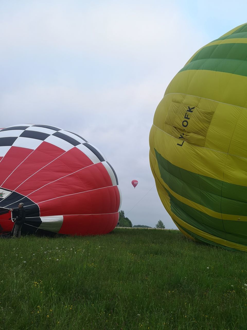 VIEW OF HOT AIR BALLOON FLYING OVER FIELD