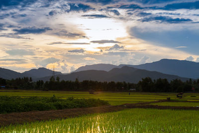 Scenic view of agricultural field against sky during sunset