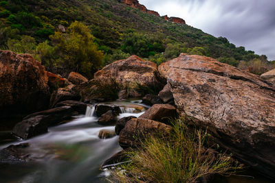Stream flowing through rocks in forest