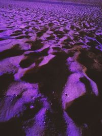 Close-up of purple water on landscape