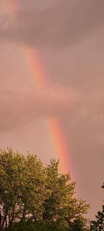 Low angle view of rainbow against sky during sunset