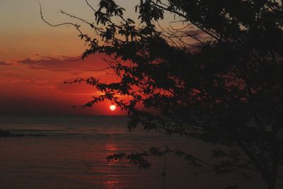 Silhouette tree by sea against romantic sky at sunset