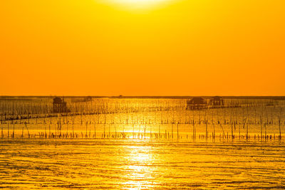 Scenic view of sea against orange sky