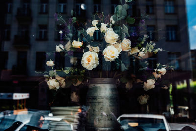 Close-up of flower pot