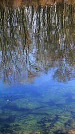 Scenic view of lake