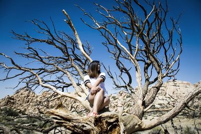 Low angle view of bare tree against clear sky