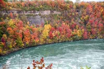 Scenic view of autumnal trees by lake