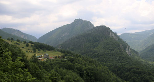 The tara river canyon , montenegro.