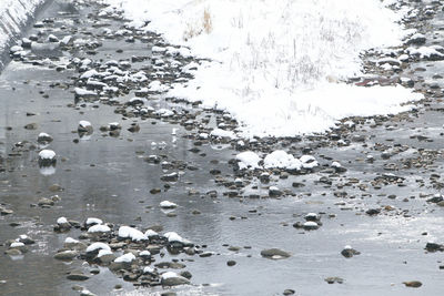 Full frame shot of wet ice