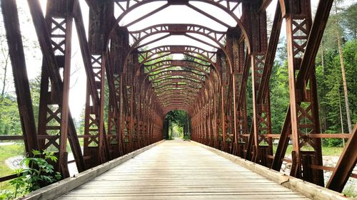 Footbridge amidst trees