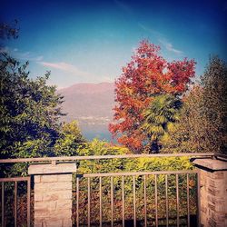 View of trees and mountains against blue sky