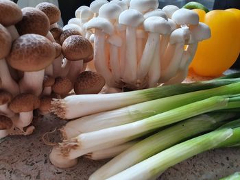 Close-up of vegetables  oriental mushroom 