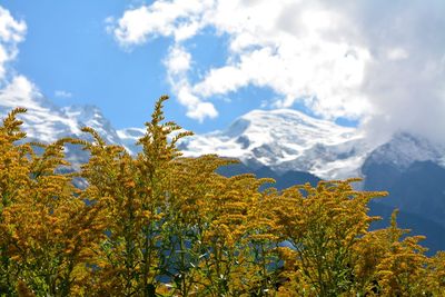 Scenic view of mountain range against cloudy sky