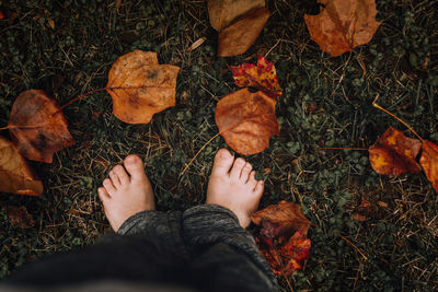 Low section of woman on fallen leaves on field