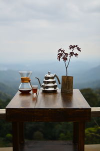 Potted plant on table at home