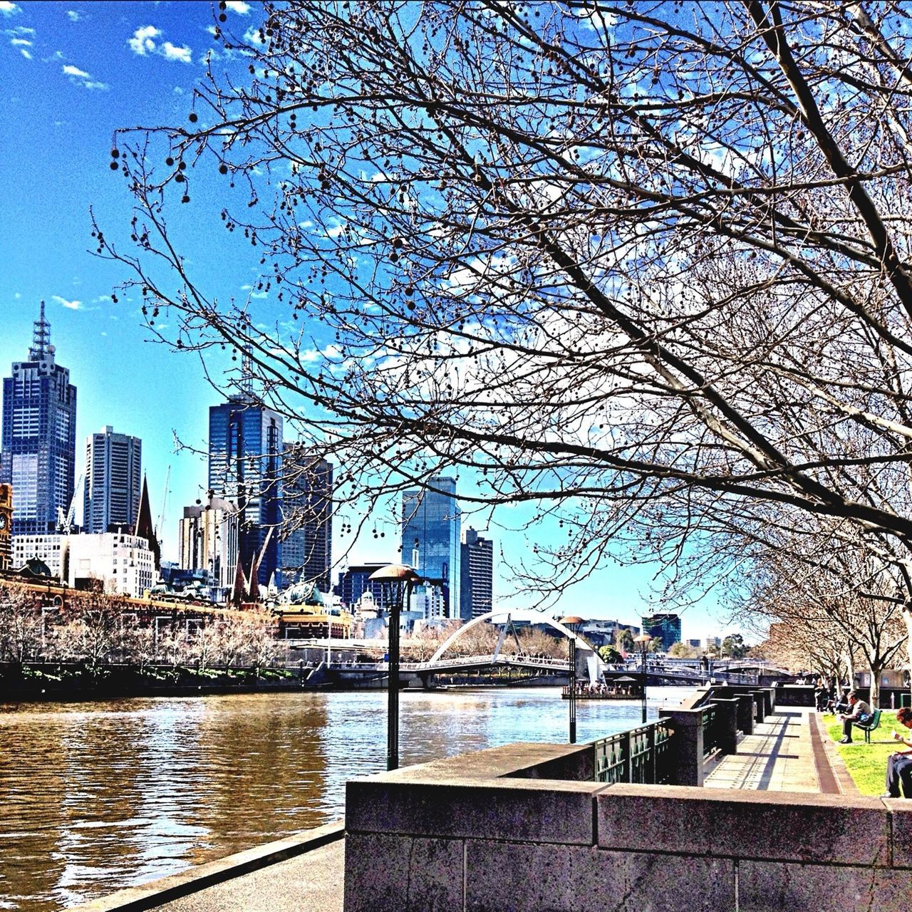 building exterior, architecture, built structure, city, cityscape, water, skyscraper, tower, river, blue, tall - high, urban skyline, modern, tree, sky, office building, capital cities, bare tree, city life, travel destinations