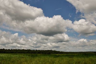 Scenic view of field against sky