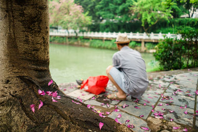 Rear view of man sitting on tree trunk