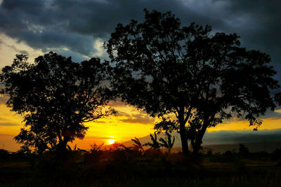 Silhouette trees against sky during sunset