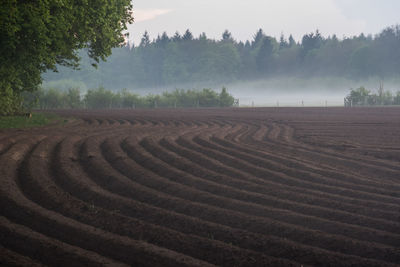 Scenic view of field against sky