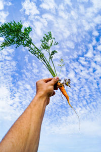 Cropped image of man holding carrot against sky