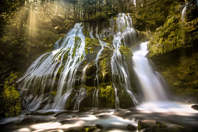 Scenic view of waterfall in forest