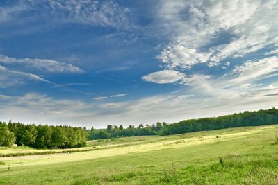 Scenic view of field against sky