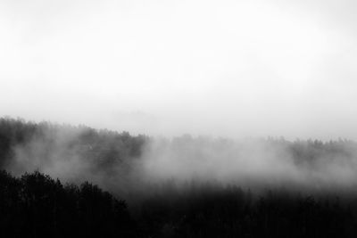 Scenic view of trees against sky during foggy weather