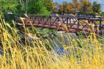 View of bridge over river