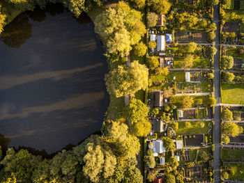 High angle view of trees and plants outside building