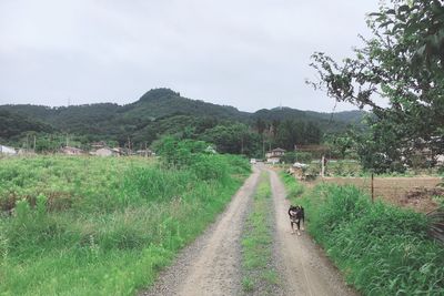 Scenic view of road amidst land against sky