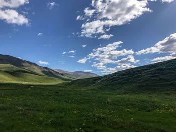 Scenic view of field against sky