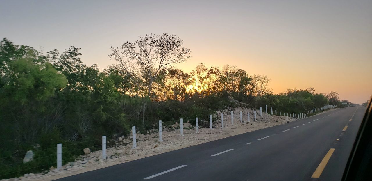 EMPTY ROAD AMIDST TREES AGAINST CLEAR SKY DURING SUNSET