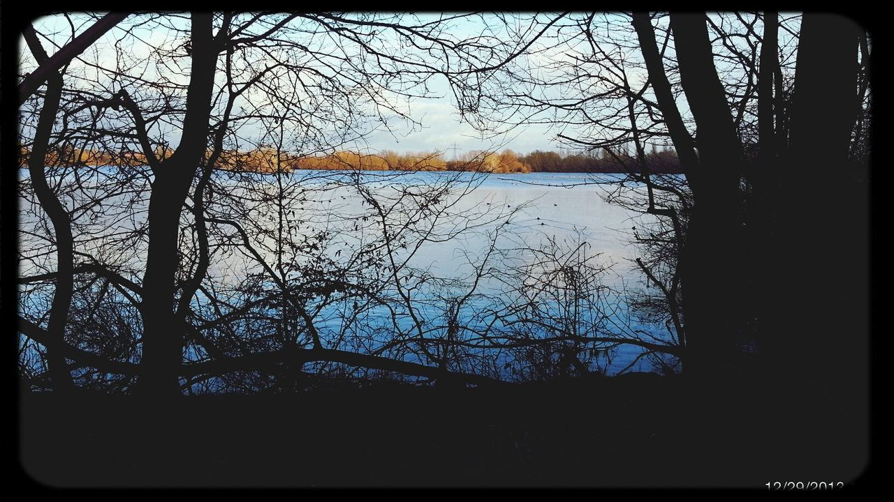 transfer print, tree, water, auto post production filter, silhouette, tranquility, branch, tranquil scene, bare tree, scenics, lake, nature, beauty in nature, clear sky, sky, sunset, reflection, river, calm, growth