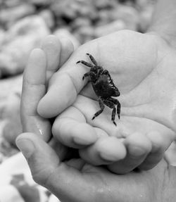 Close-up of person holding hands