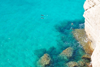 High angle view of people swimming in sea