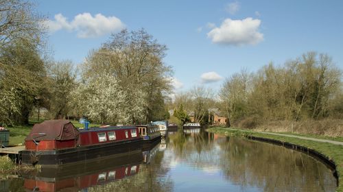 Boat moored in calm canal against trees